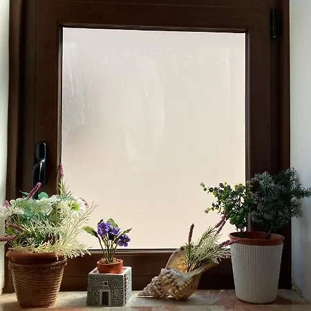 Isoladelmiele Pensión