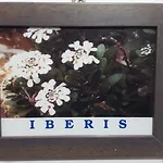 Isoladelmiele Marettimo