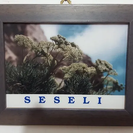 Pensjonat Isoladelmiele Marettimo